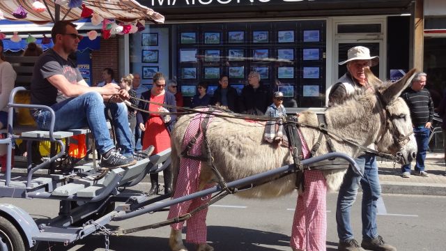 Carnaval 31 mars 2019 (16).JPG